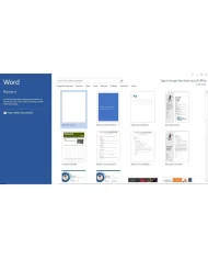 Microsoft Office 2013 Professional Plus
