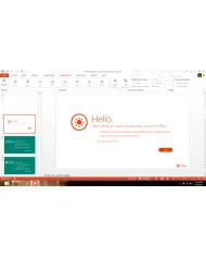 Microsoft Office 2013 Professional Plus