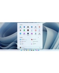 Windows 11 Pro