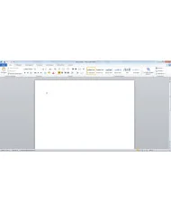 Microsoft Word 2010