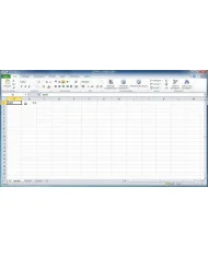 Microsoft Excel 2010