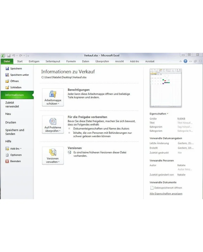 Microsoft Excel 2010