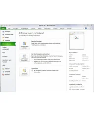 Microsoft Excel 2010