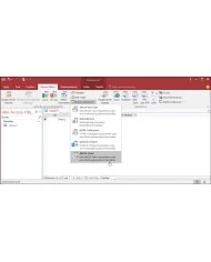Microsoft Access 2019
