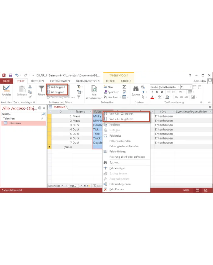 Microsoft Access 2013