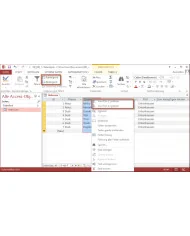 Microsoft Access 2013