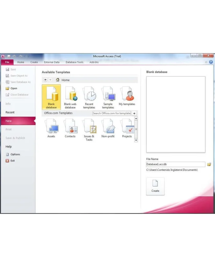 Microsoft Access 2010