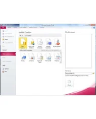 Microsoft Access 2010
