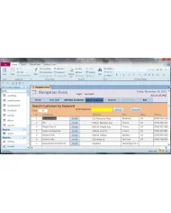 Microsoft Access 2010