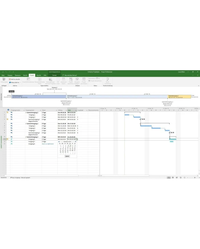 Microsoft Project 2021 Professional