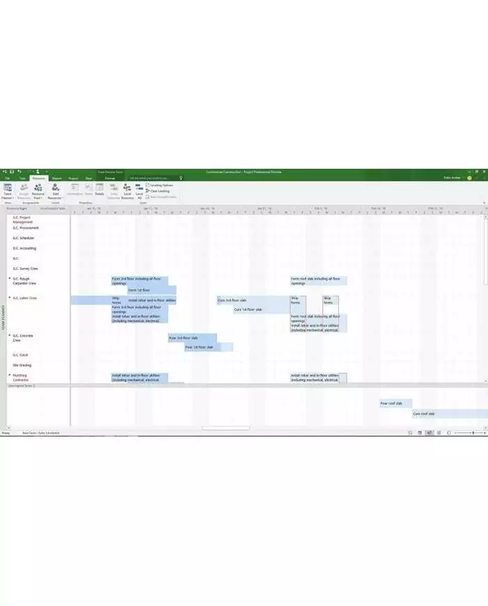 Microsoft Project 2021 Professional