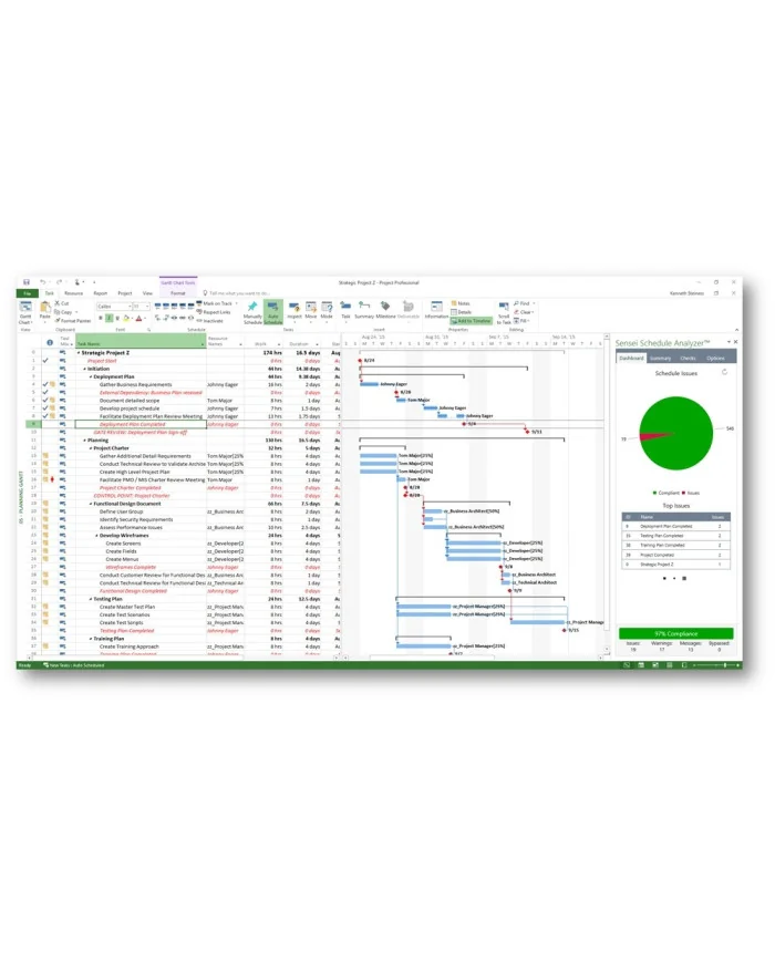 Microsoft Project 2016 Standard