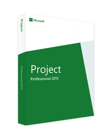 Microsoft Project 2013 Professional