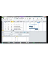 Microsoft Project 2010 Standard