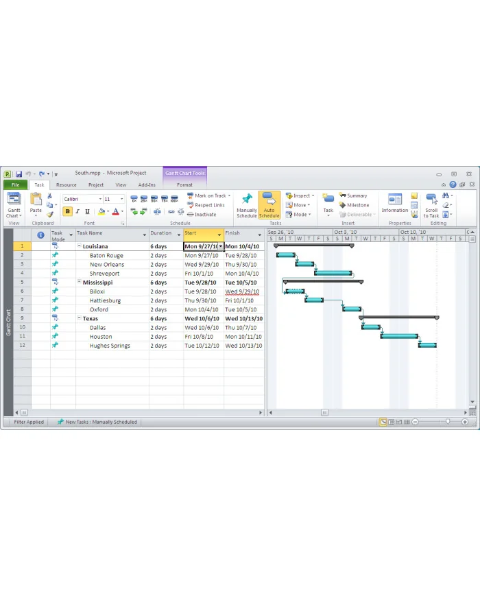 Microsoft Project 2010 Standard