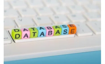 Microsoft Access für Einsteiger: Die wichtigsten Grundlagen 2026